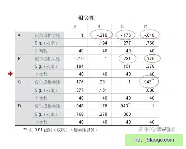 从关键先生到战术核心迪巴拉在美洲杯中的决定性作用分析全面解读 从关键先生到战术核心迪巴拉在美洲杯中的决定性作用分析全面解读